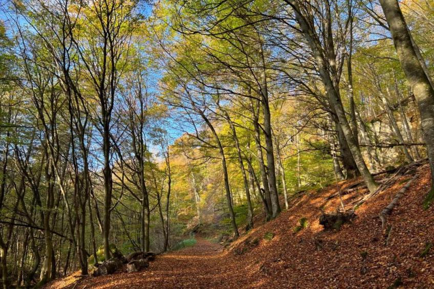 Resort Echternacherbrück 1 - foto 19