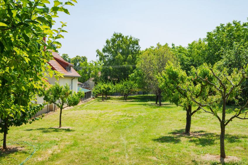 Szijartó (BGK111) - foto 22