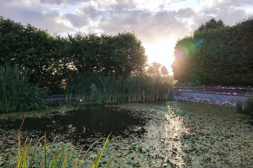 mit Terrasse - foto 21