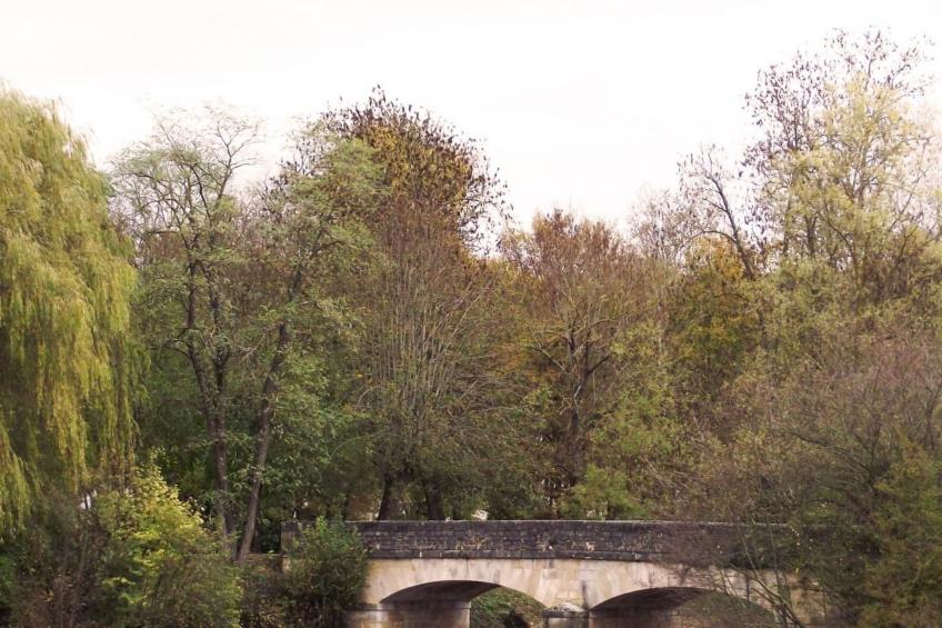 maison les isles menefriers - foto 19