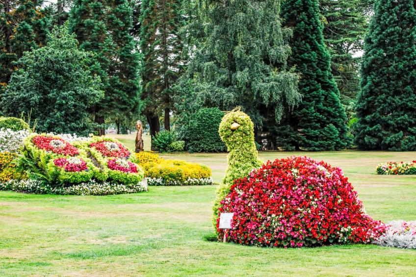 Forres View - foto 45