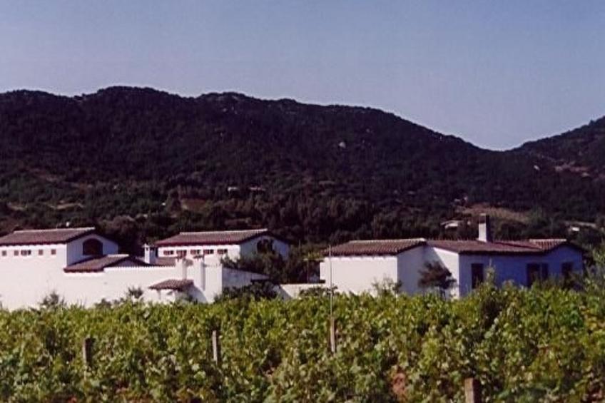 Natur, ökologische Nachhaltigkeit, nur für Erwachsene, Meer in der Nähe - foto 24