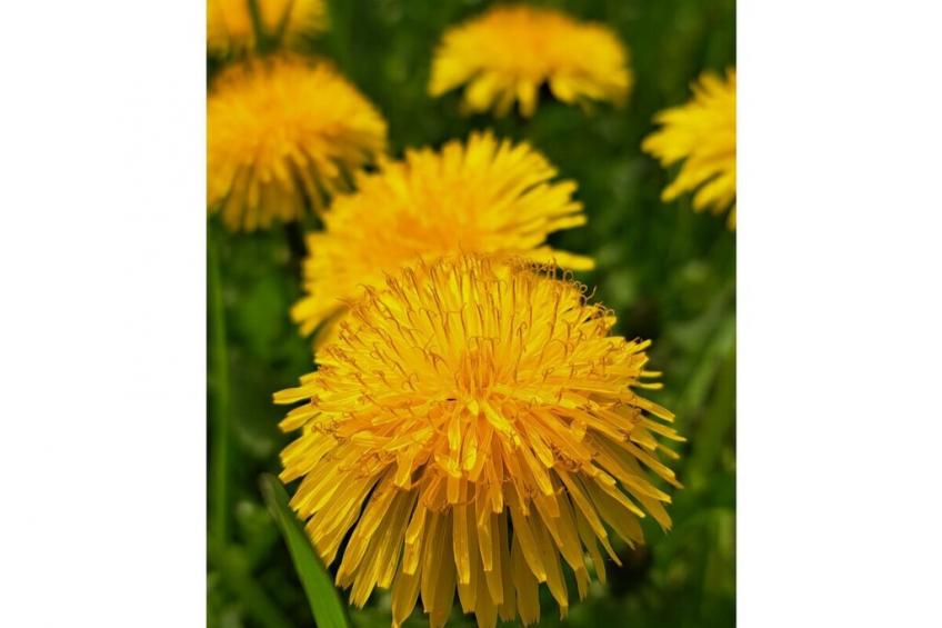 263491 - foto 23