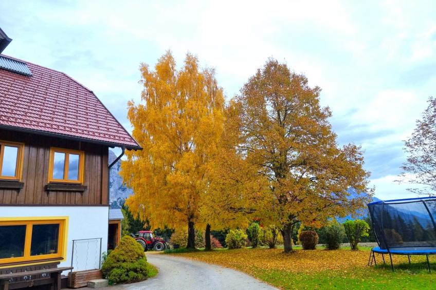 Kulmer Hof - foto 24