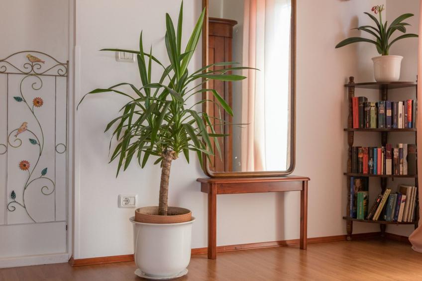 Villa Natalia Peroj,  mit privaten Pool - foto 17