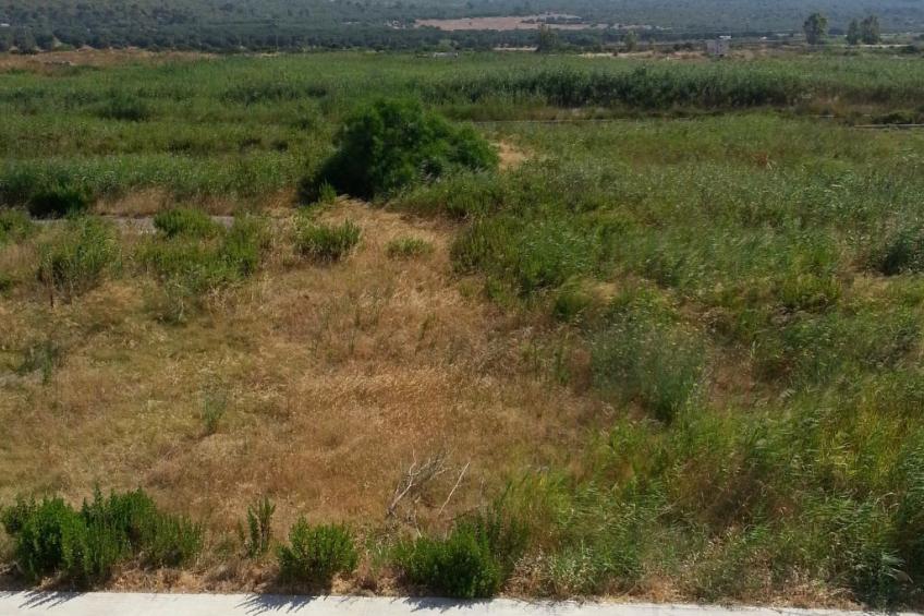 Apartment Zeus in Torre Mozza - foto 14