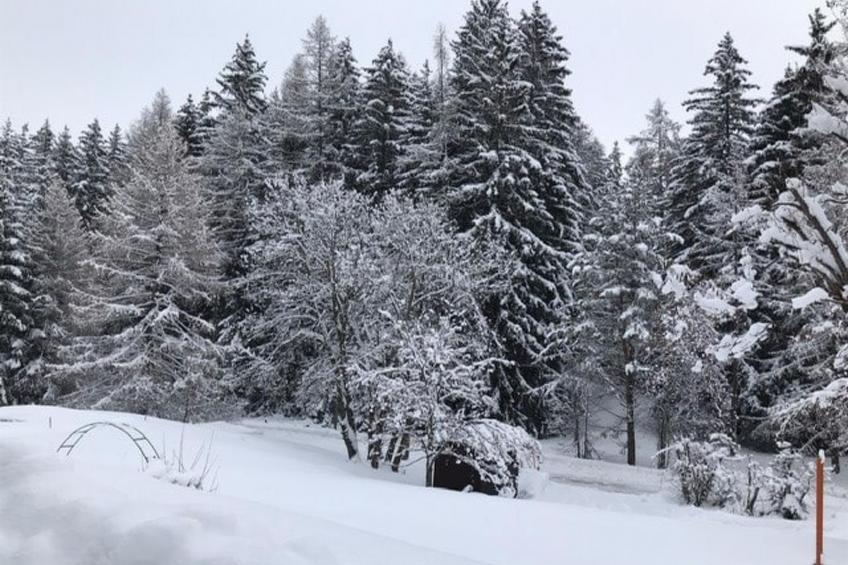 Chalet Les Girolles - Anzère - foto 4