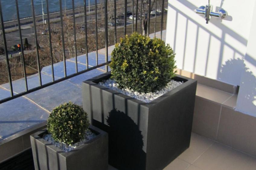 Penthouse mit Donaublick - foto 19