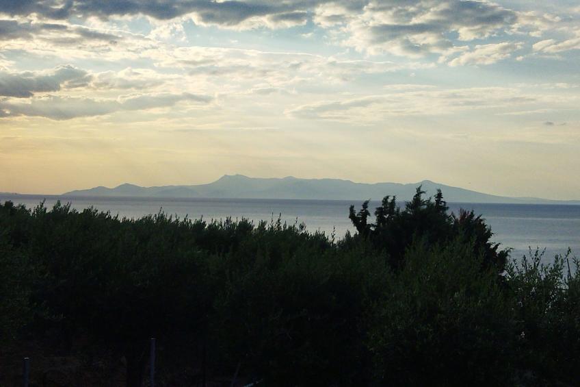 Rosemarine - foto 12