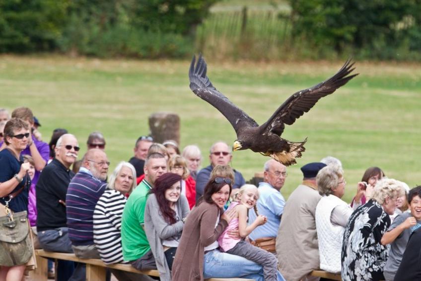 Cottage "Foxes Reach" mit Whirlpool - foto 20