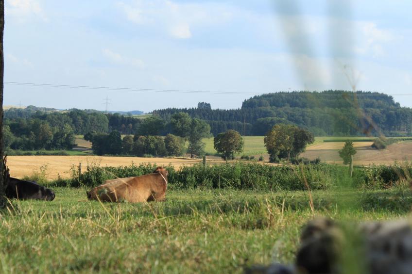 Fewo "Jut Stuff" - foto 40