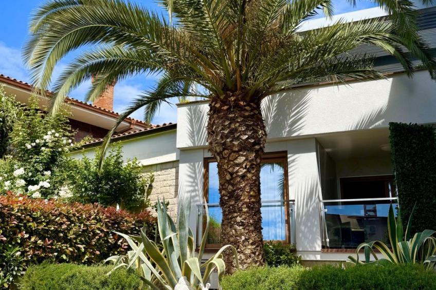 Apartment Superior für 2 Personen