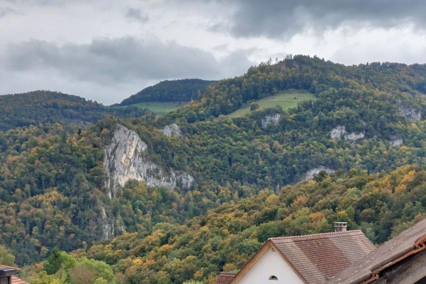 Giselas Ruheplatz - foto 12