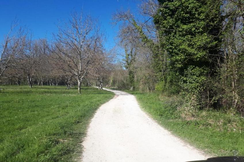 Le Pigeonnier - foto 26