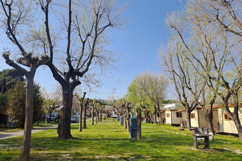 Mare e Sole von Holiday World - foto 16