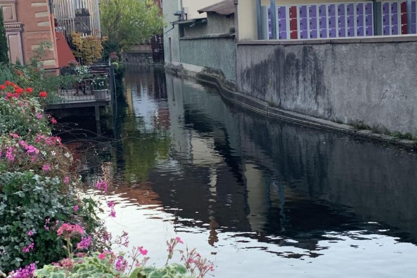 Smart Home Paris, Europapark, Rulantica ca. 15min - foto 20