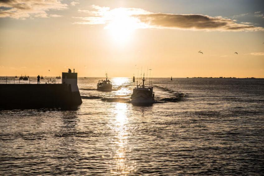 Maison à Le Guilvinec - foto 20