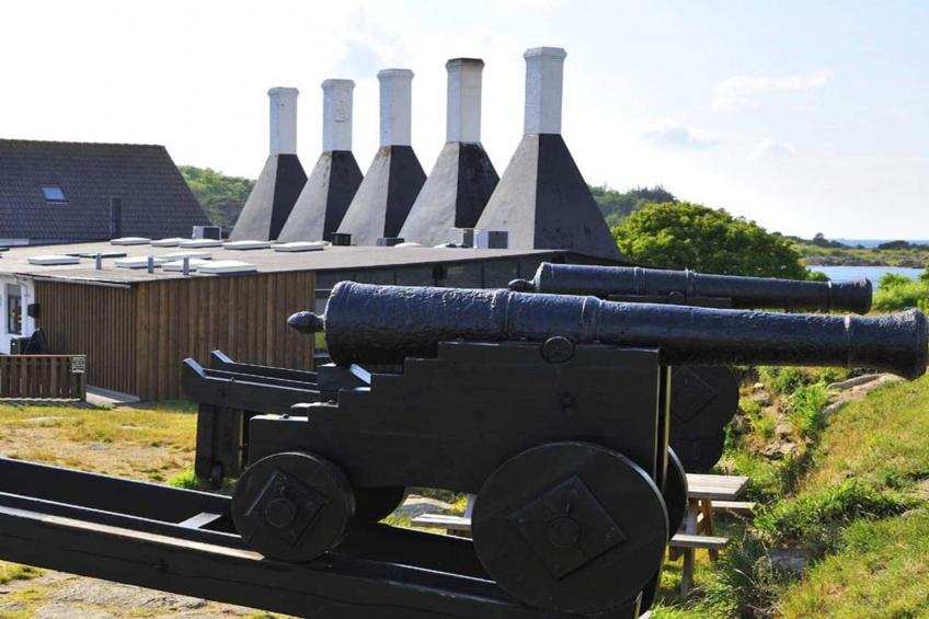 2-4 pers.Lejl(7)55 m2 - foto 15