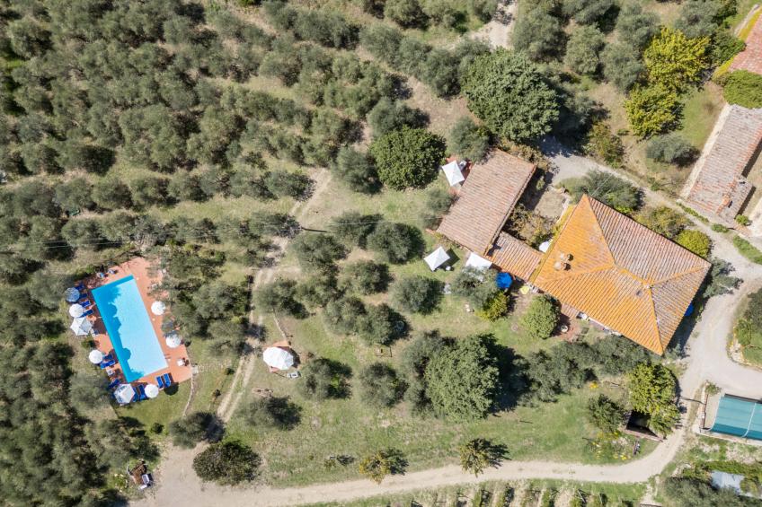 La Foresta - foto 38