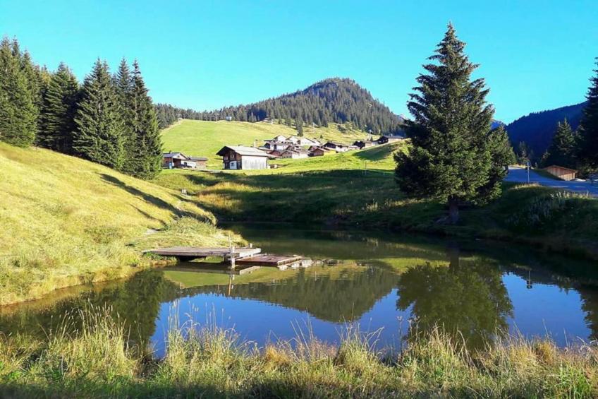 Marco 2 - foto 33