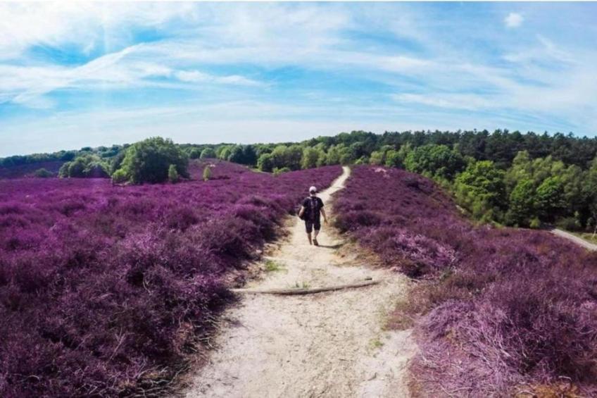 De Veluwse Hoevegaerde 3 - foto 34