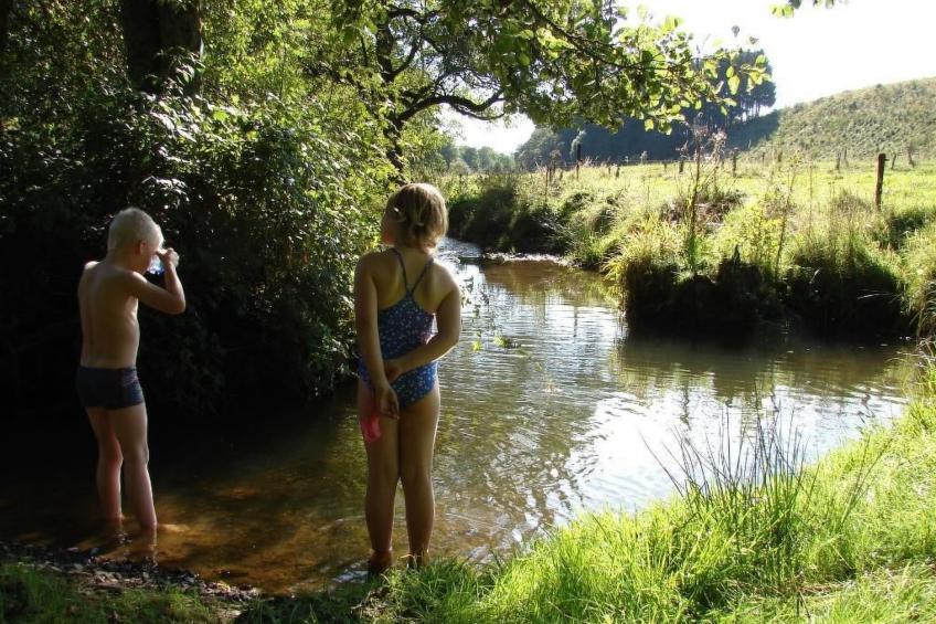 Snowview Lodge - foto 18