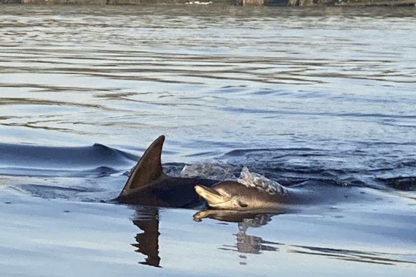 The Studio - foto 30