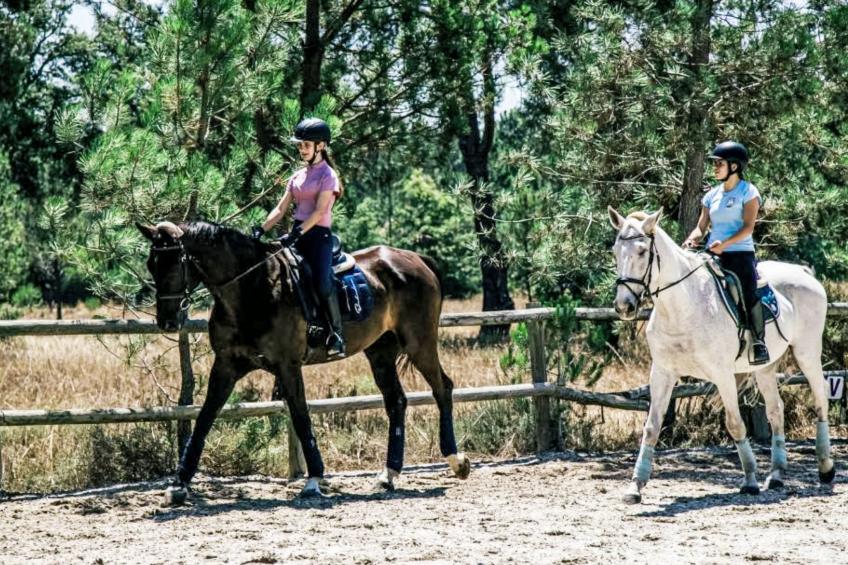 Herdade de Montalvo - foto 23