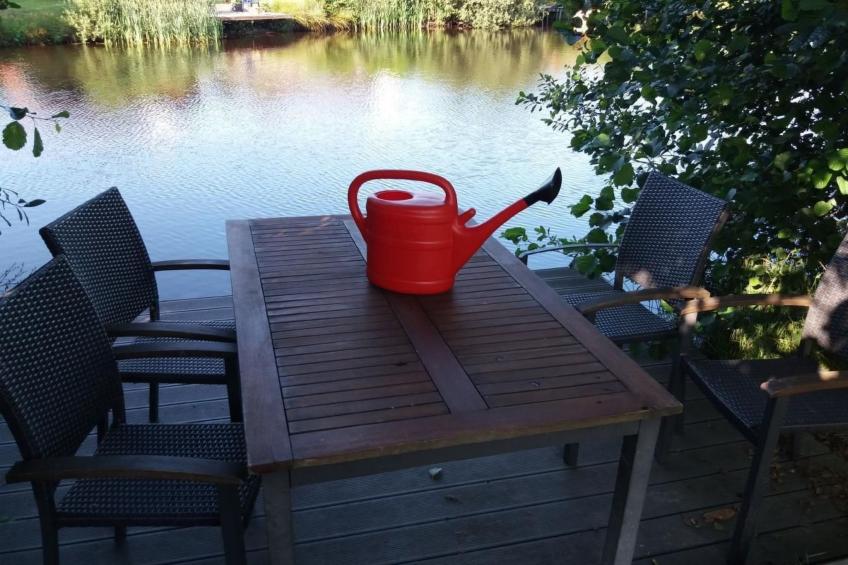 Pinto Rosso - foto 28