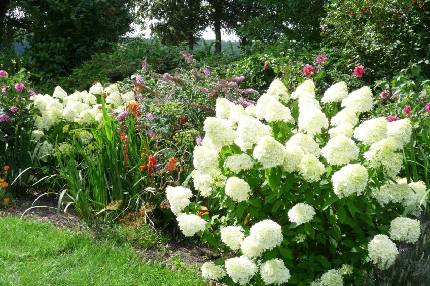 Marias Ferienhäuser - foto 13