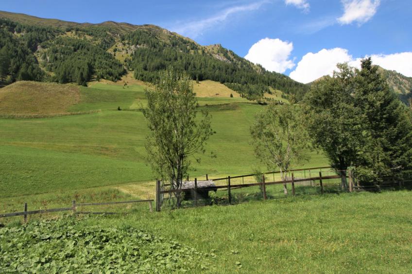 Mucherhof - foto 25