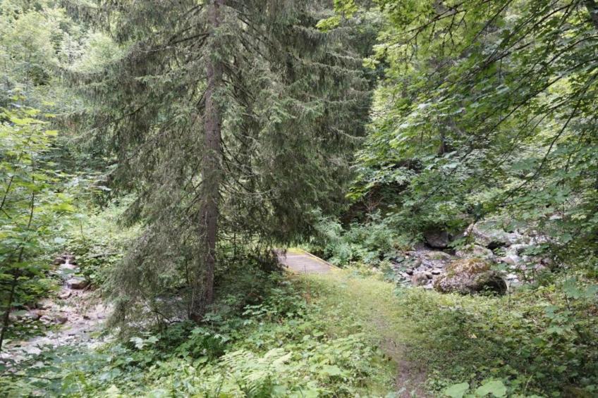 Arcades N°39 - ST4 - foto 18