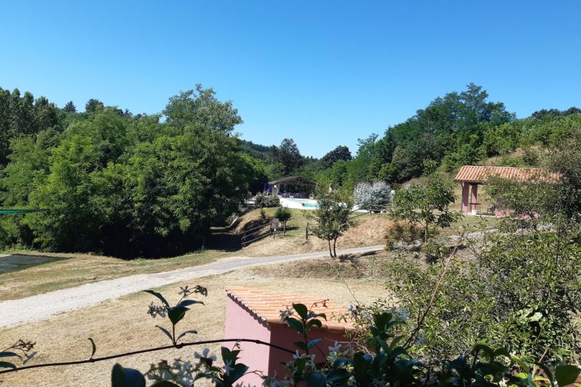 Girasole Haus mit Pool in Fauglia - foto 12