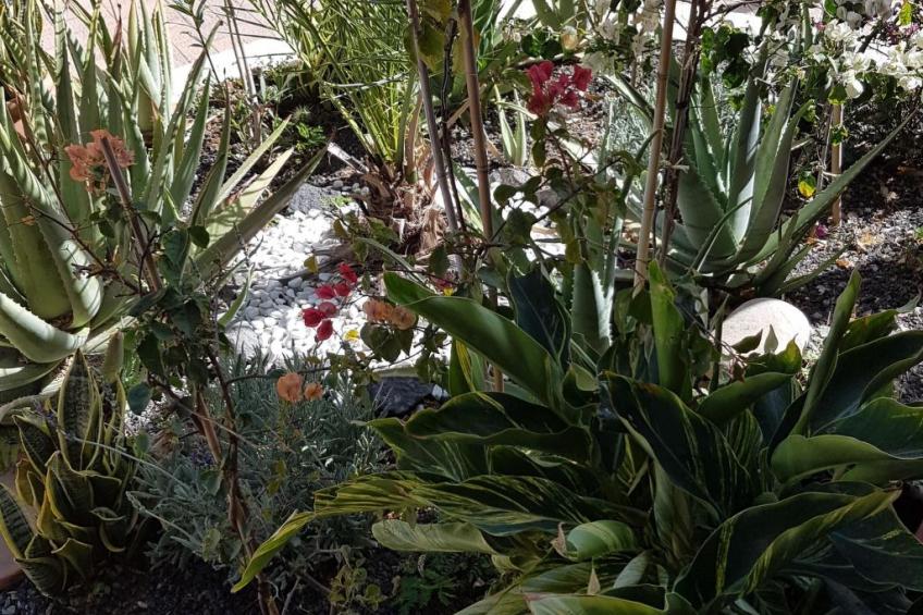 Wohnung "Costa Calma" mit gemeinschaftlichem Pool - foto 12