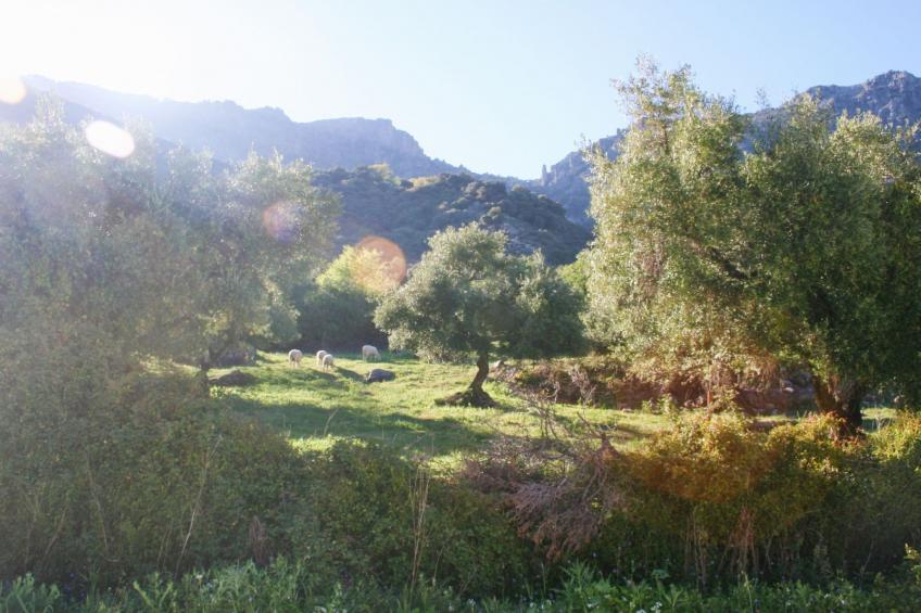 Gemütliches Landhaus Betania in Grazalema - foto 28