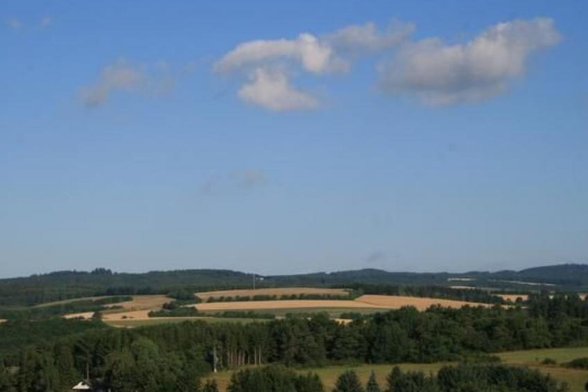 Eifelcottage Wildvogel - foto 24