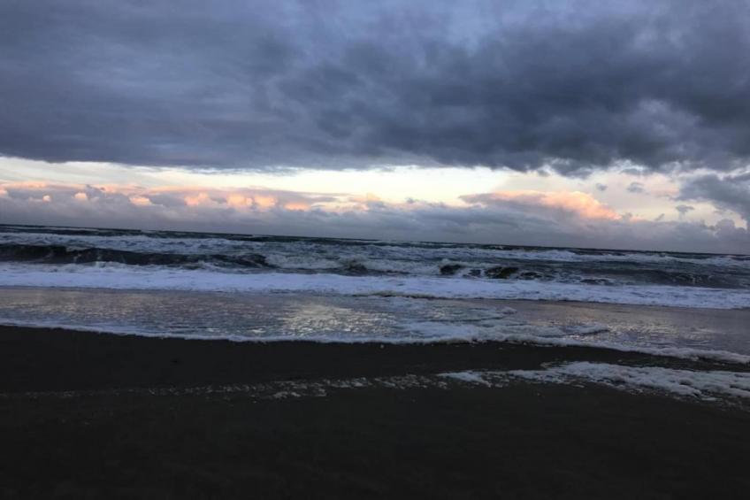 Campanula 171 - foto 15