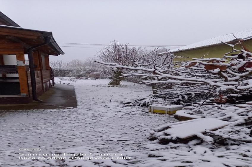 Holiday Home Paunovaca - Two Bedroom Holiday Home - foto 35