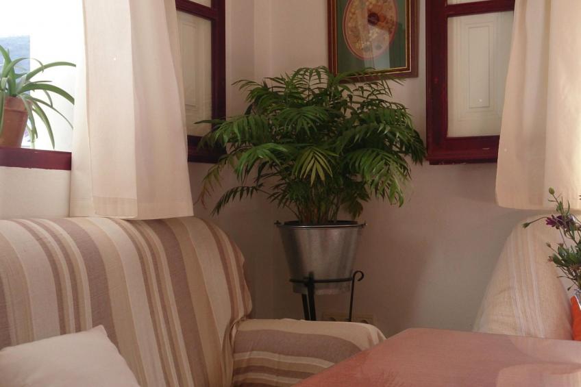 Berg- und Strandurlaub südlich von Granada - foto 8