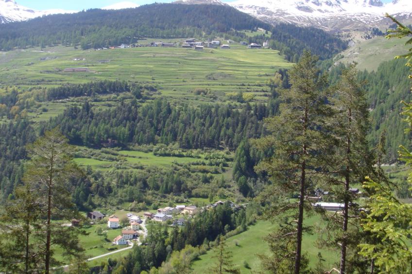 Tschlin Chasa La Resgia, (Tschlin) - foto 13