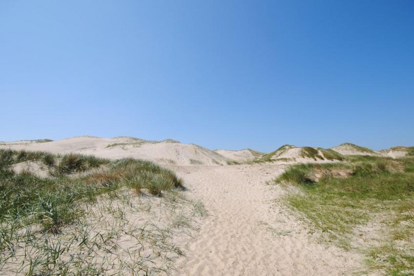 "Gundine" - from the sea in Western Jutland - foto 26