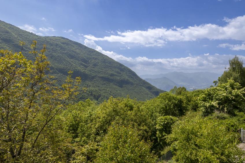 Il Castagneto - foto 100