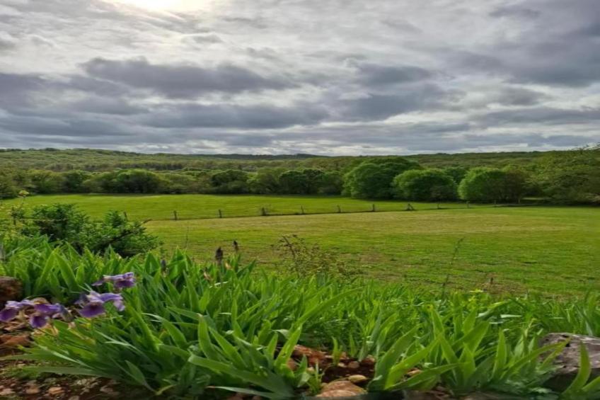 Maison de vacances - LOUBRESSAC - foto 38
