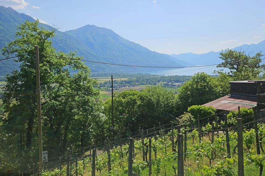 Casa al Maggio - foto 20