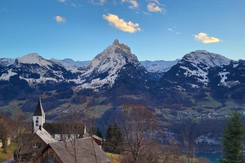 Casa Grande Ferienwohnung - foto 2