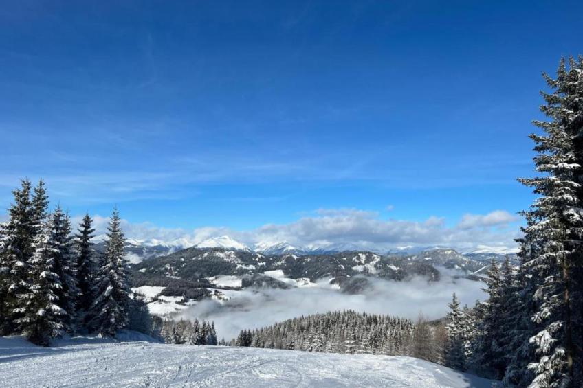 Landhaus Alpenblick Grebenzen - foto 28