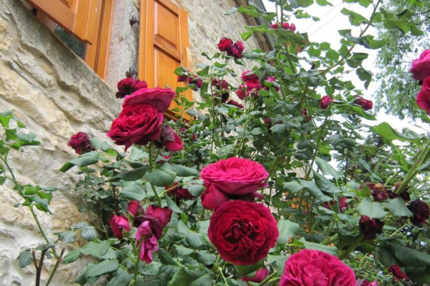 Casa Gaia Grande - foto 25