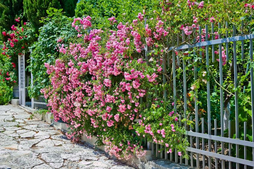 mit Blick auf das Wasser - foto 15