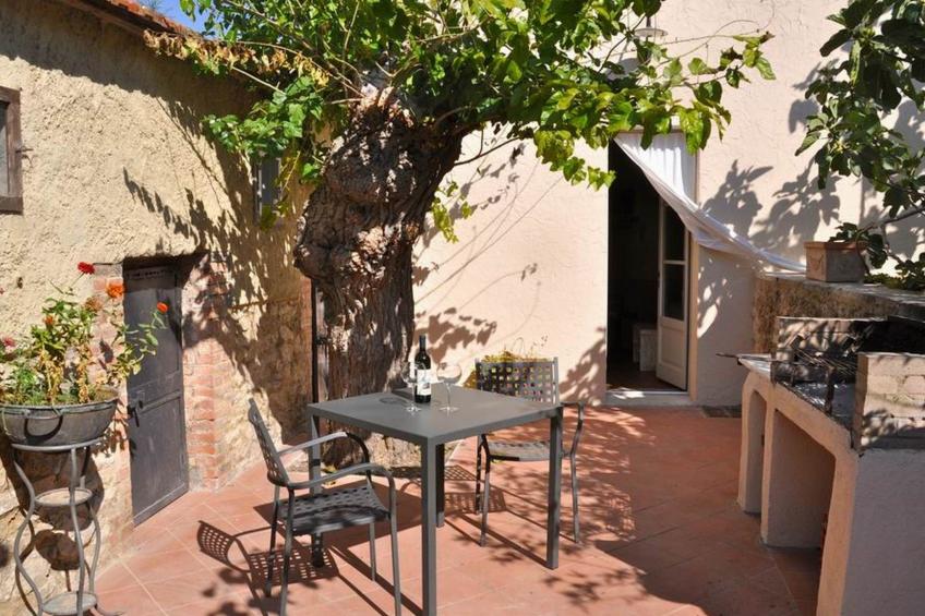 'Molinello albicocco'