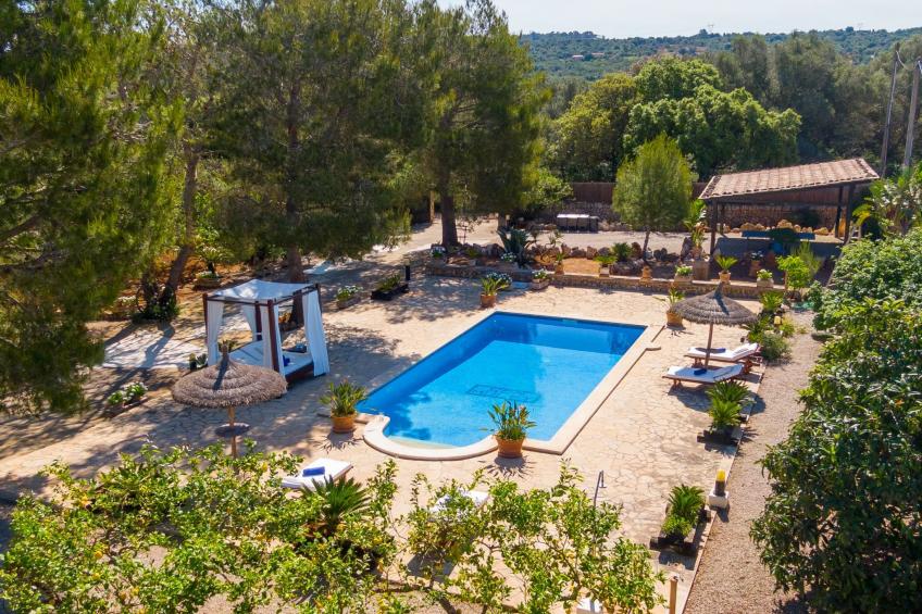 Mulet Llubi - foto 5